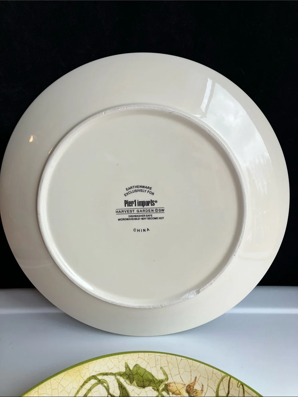 Pier 1 Harvest Garden 2 Dinner Plates 11